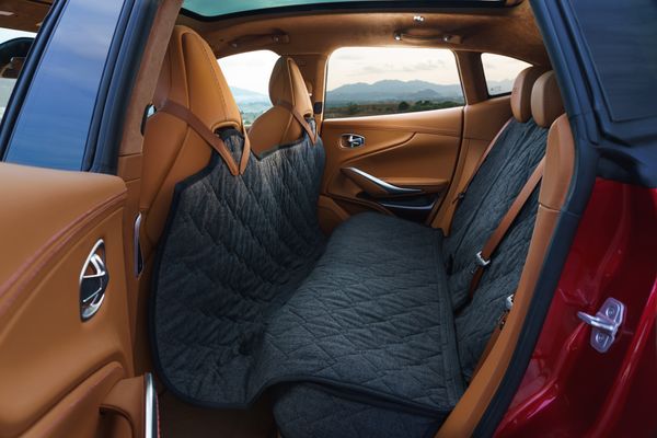 Rear Seat Cover