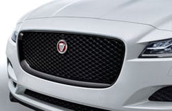 Grille - Gloss Black, Camera, Pre 21MY