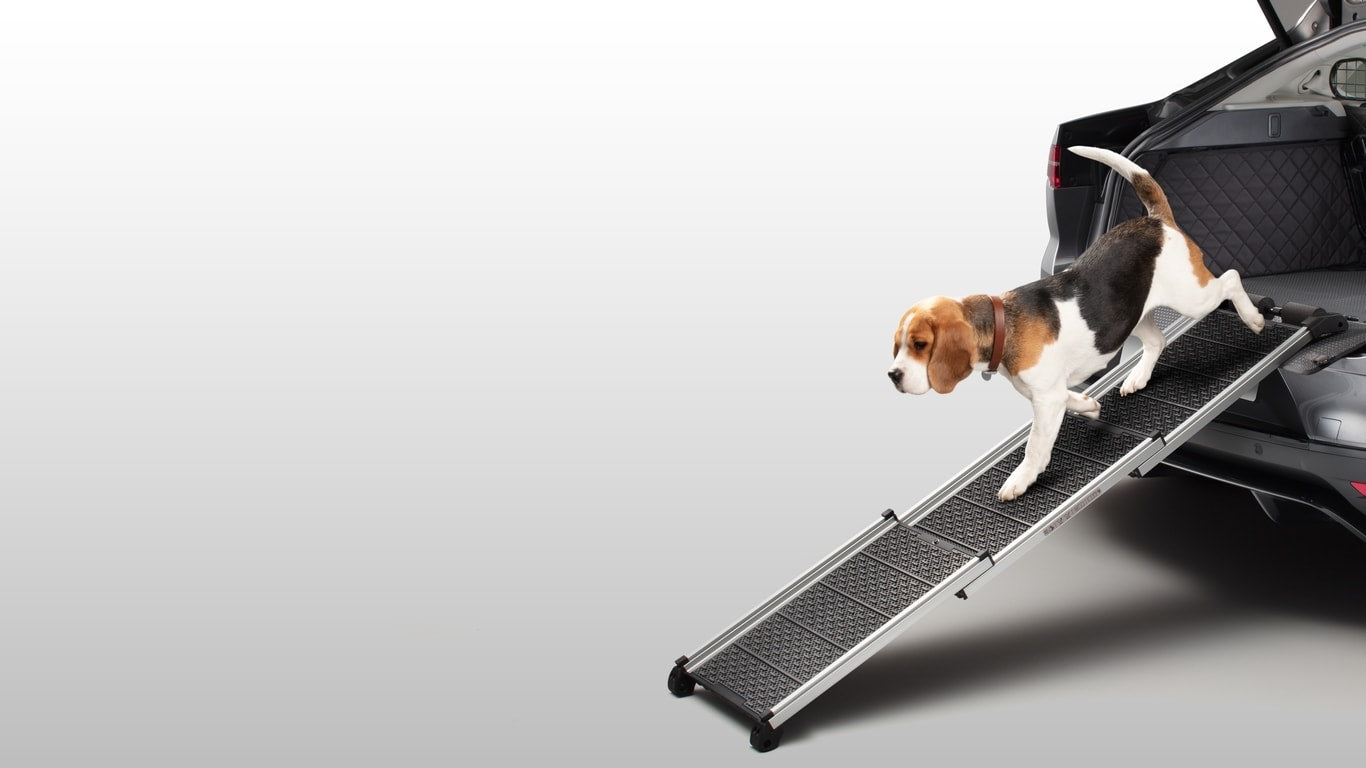 Pet Access Ramp