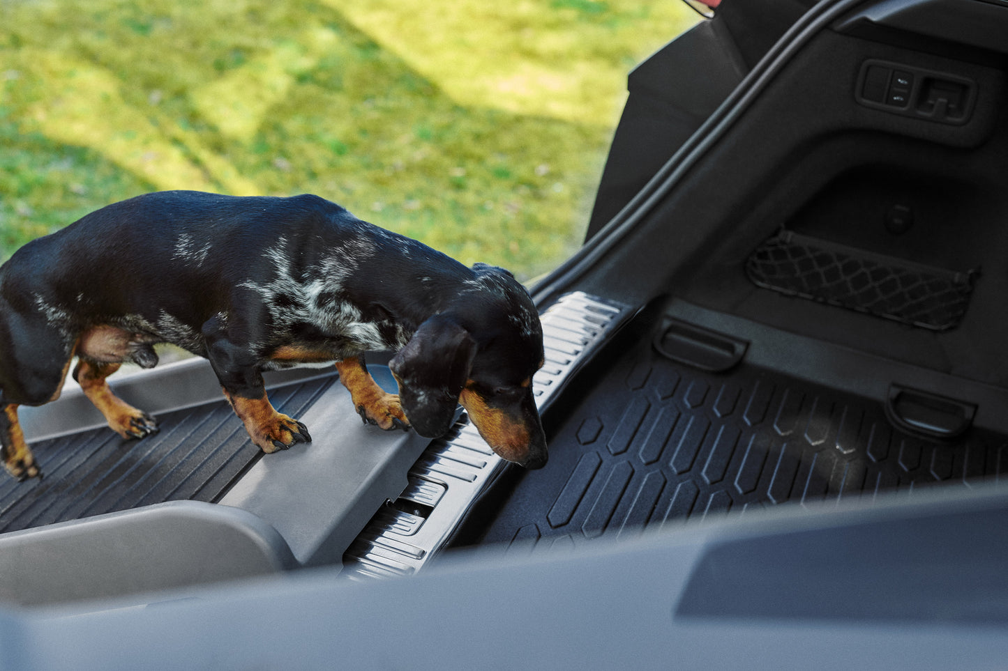 Lamborghini Urus Pet Ramp